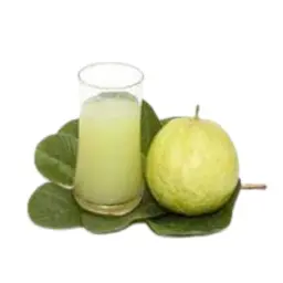 جوافة